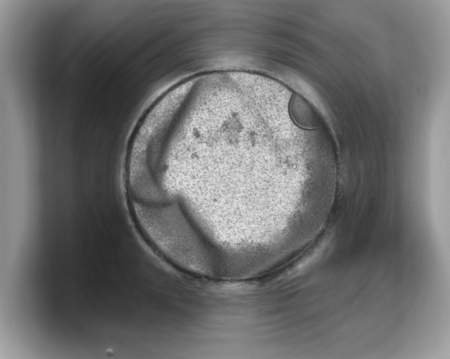 X0000103240847200809181542