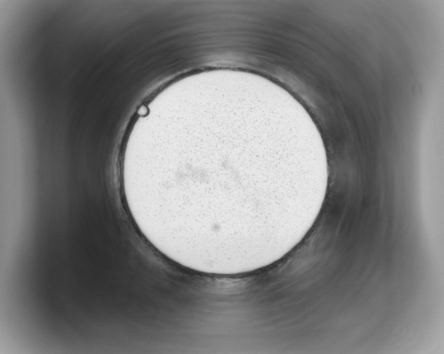 X0000103240848200809181542