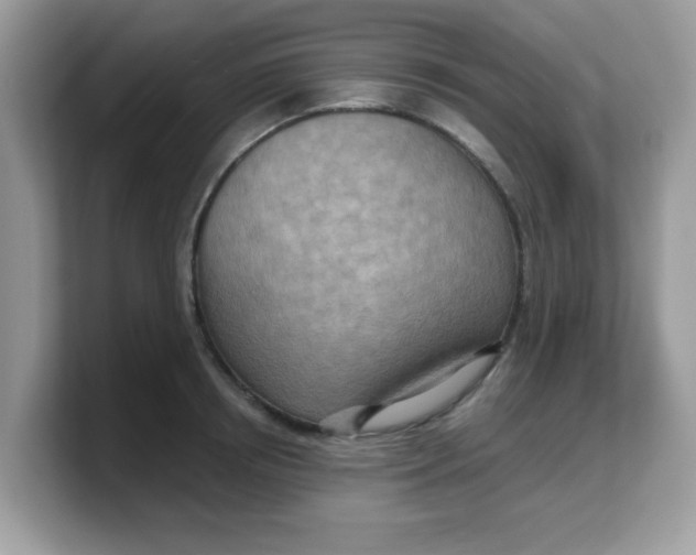 X0000103240850200809181542