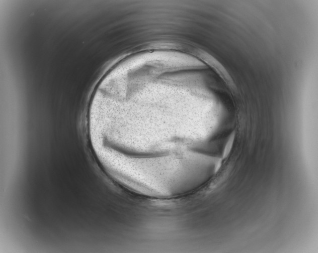 X0000103240852200809181542