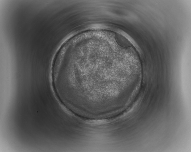 X0000103240853200809181542