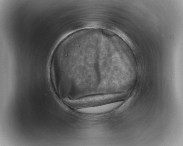 X0000103240854200809181542