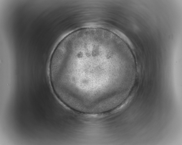 X0000103240855200809181542