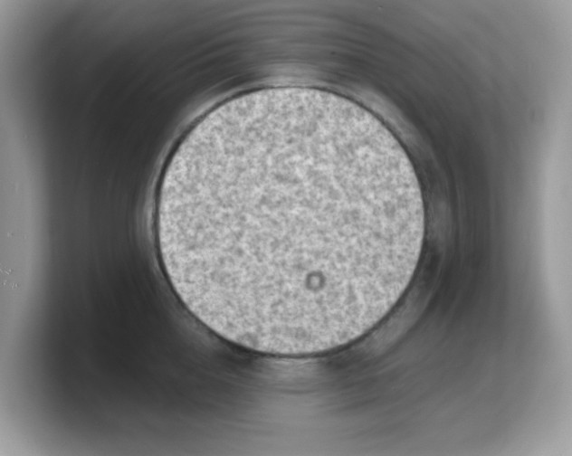 X0000103240856200809181542