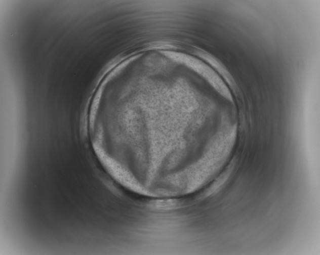 X0000103240858200809181542