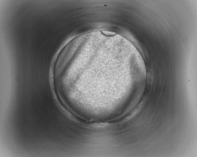 X0000103240859200809181542