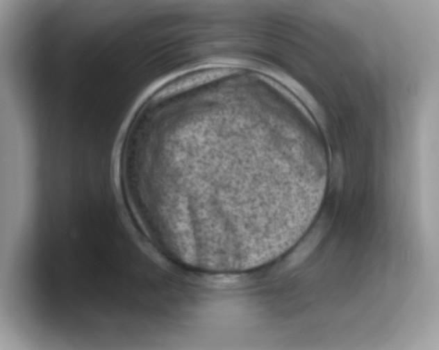 X0000103240862200809181542