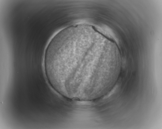 X0000103240863200809181543