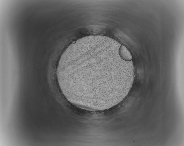 X0000103240865200809181542