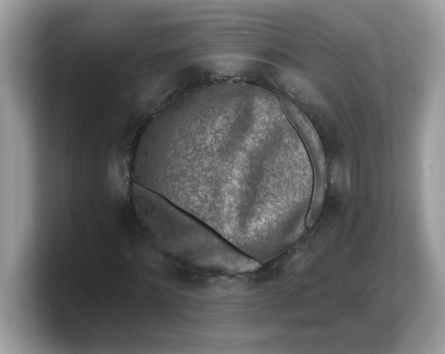 X0000103240868200809181542