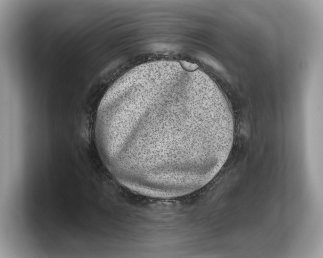 X0000103240869200809181542