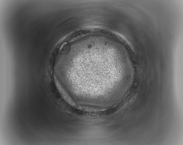 X0000103240871200809181542