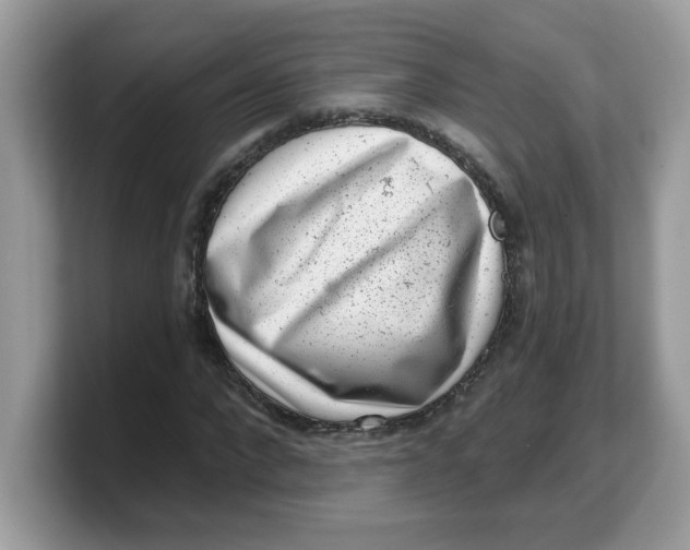 X0000103240872200809181542