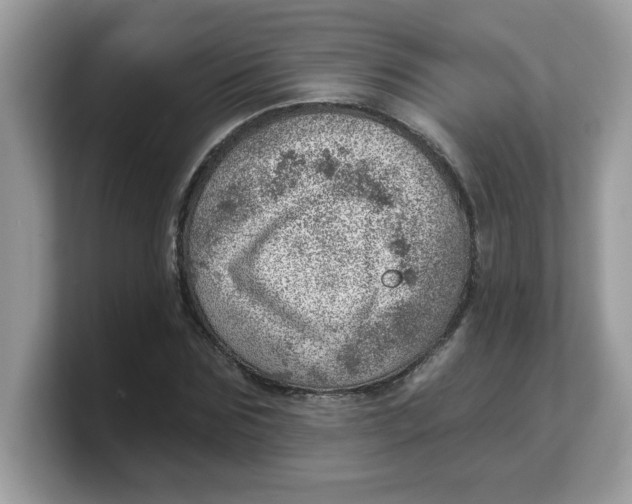 X0000103240875200809181542