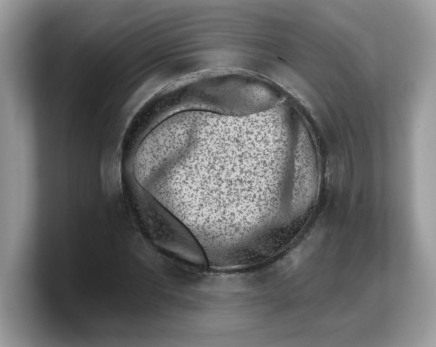 X0000103240877200809181542