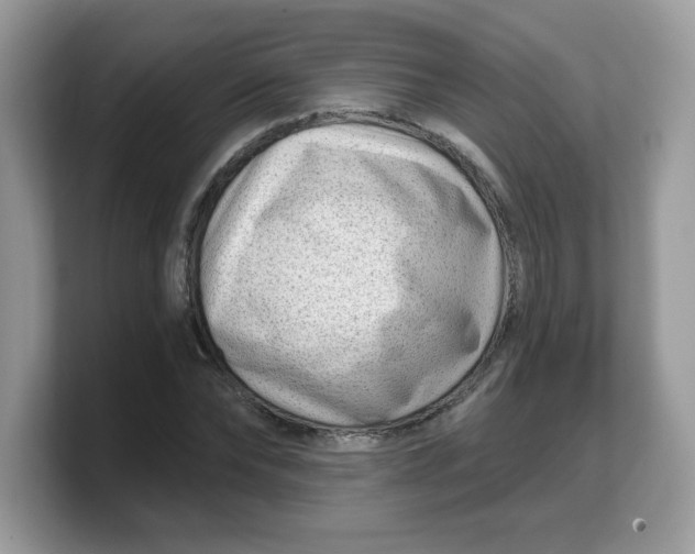 X0000103240878200809181542