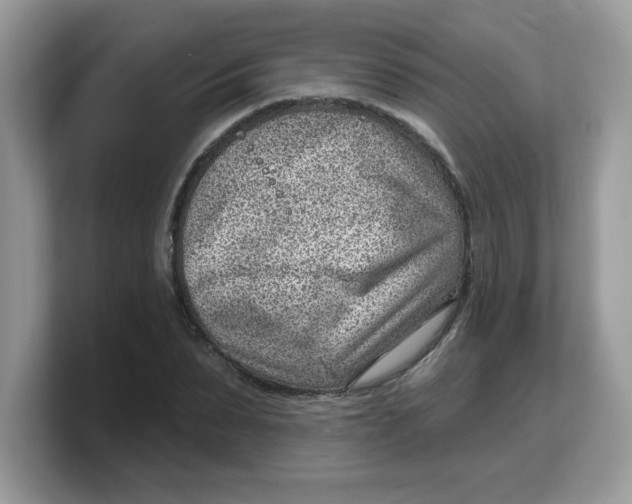 X0000103240879200809181542