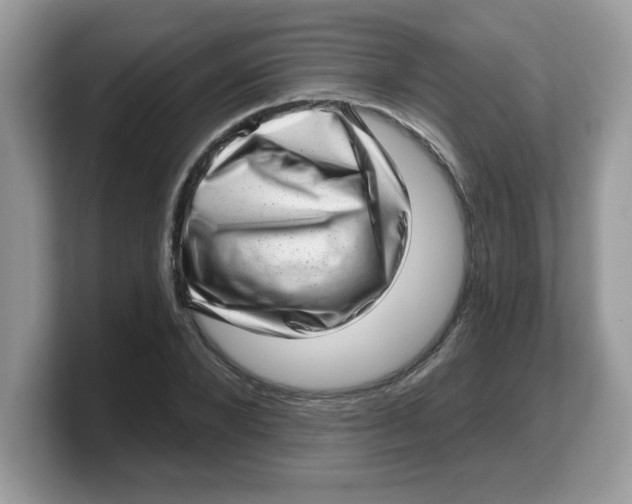 X0000103240880200809181542