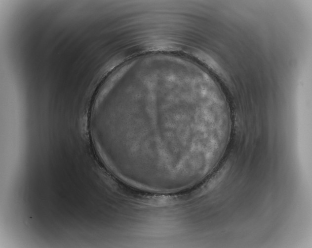 X0000103240881200809181542