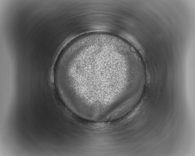 X0000103240883200809181542