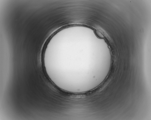 X0000103240884200809181542