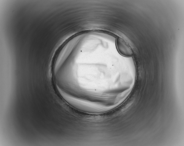 X0000103240885200809181542