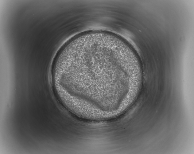 X0000103240887200809181542