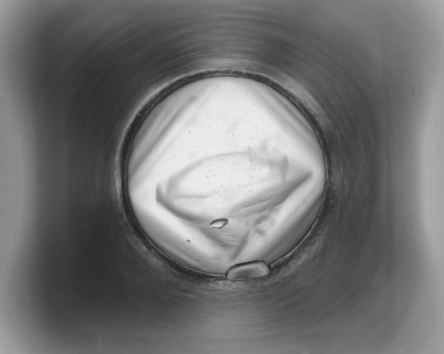 X0000103240888200809181542