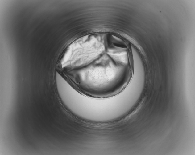 X0000103240889200809181542