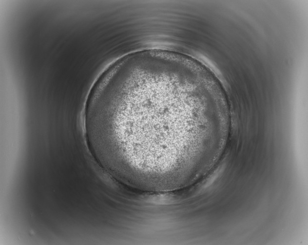 X0000103240891200809181542