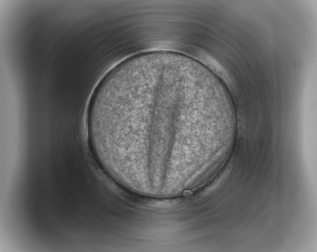 X0000103240892200809181542