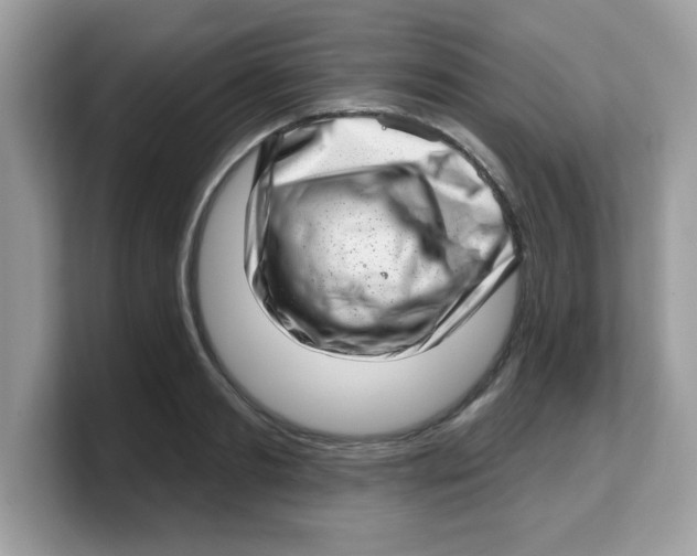 X0000103240893200809181542