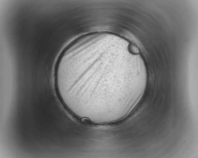 X0000103240894200809181542