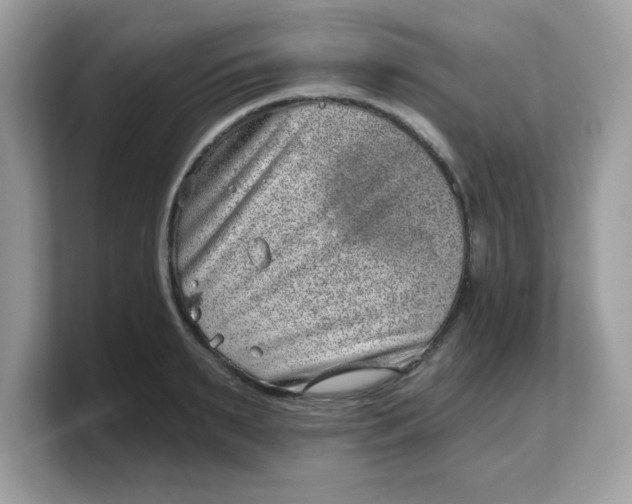 X0000103240895200809181541