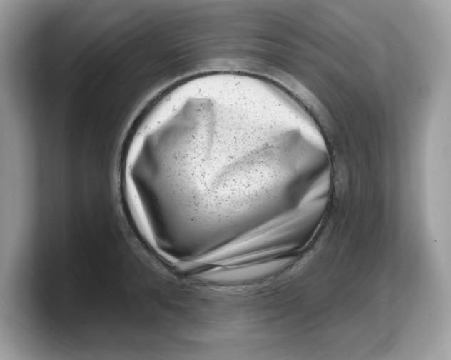 X0000103240896200809181541