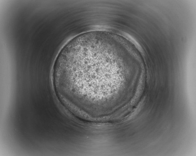 X0000103240899200809181541