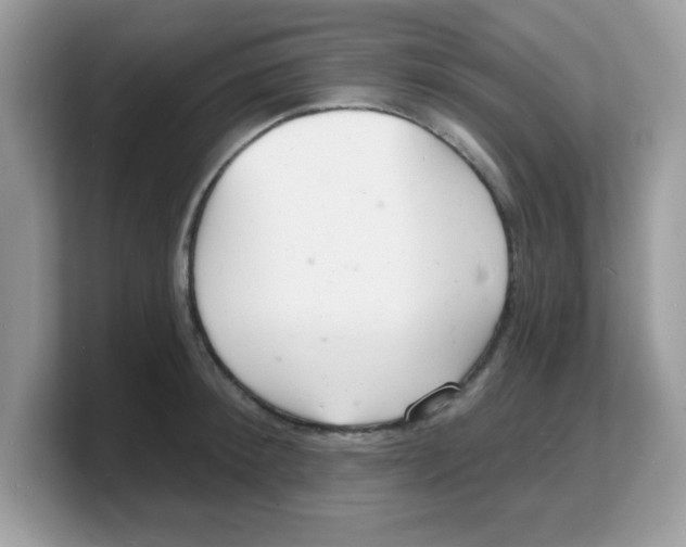 X0000103240900200809181541