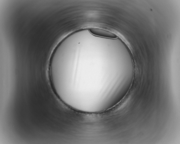 X0000103240901200809181541