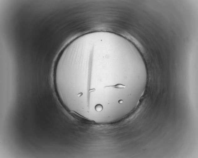 X0000103240902200809181541