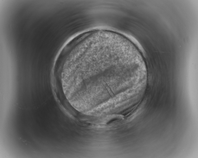 X0000103240903200809181541