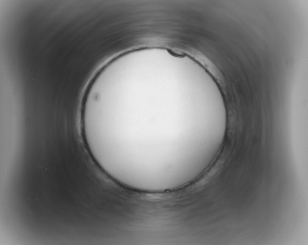 X0000103240904200809181541