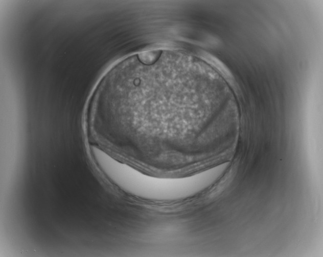 X0000103240907200809181541