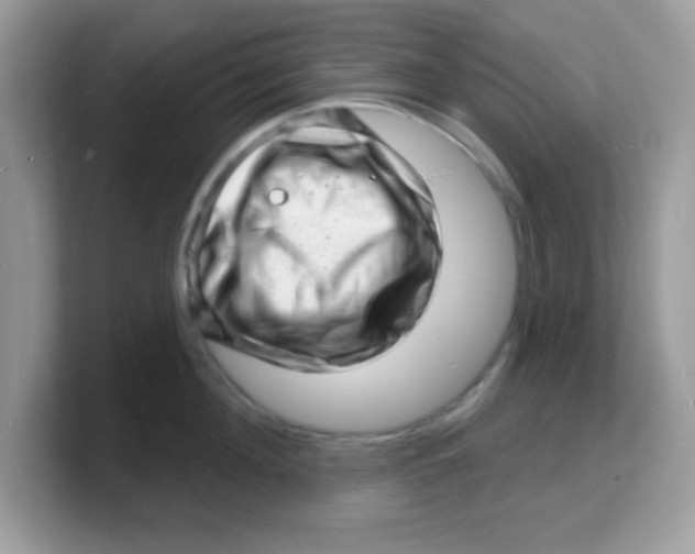 X0000103240908200809181541