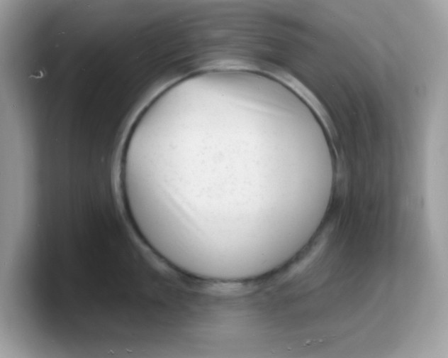 X0000103240909200809181541