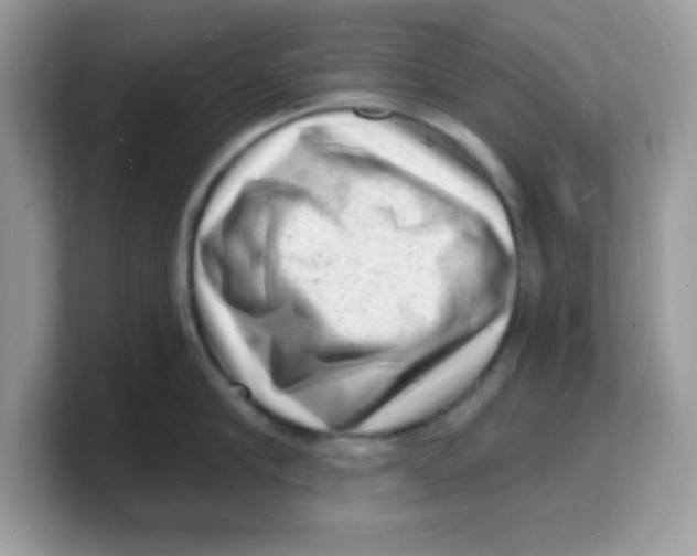 X0000103240910200809181541