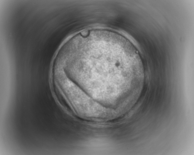 X0000103240911200809181541