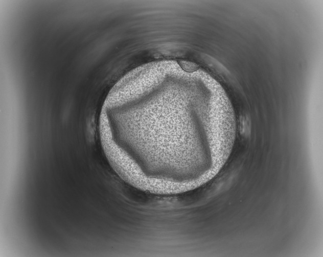 X0000103240915200809181541