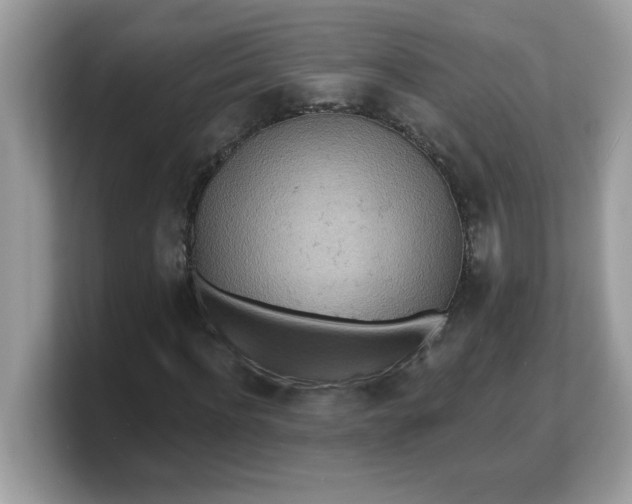 X0000103240916200809181541