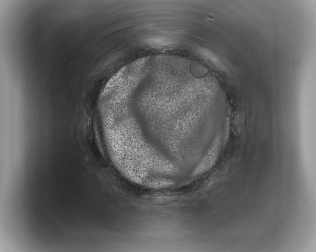 X0000103240917200809181541