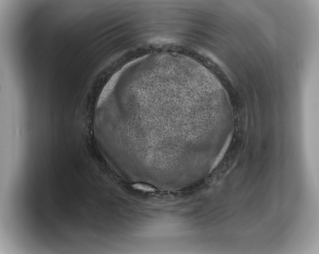 X0000103240919200809181541